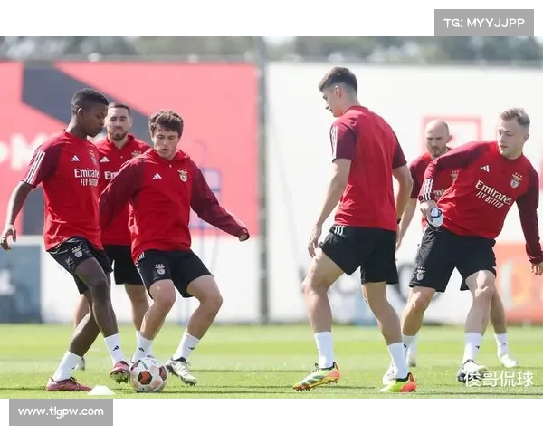 足球国际赛事中比赛场地尺寸(足球国际大赛激情绽放世界杯欧洲杯激战全球球星闪耀球迷狂欢盛宴)